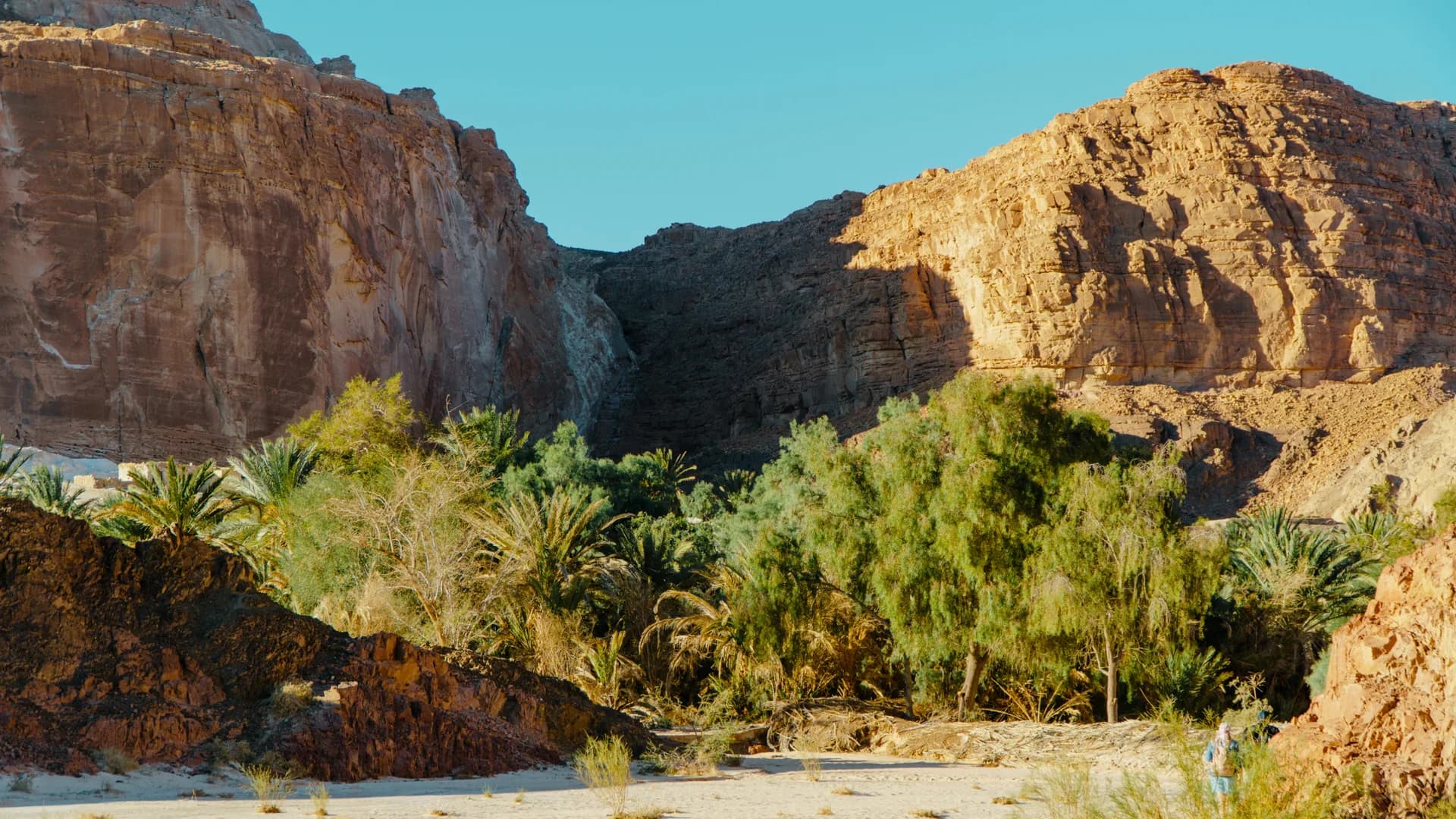 Rondreis door Egypte — woestijn en tempels